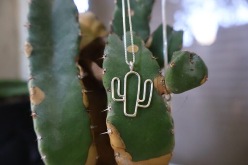 Cactus