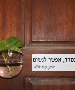 Glass Wall Vase for Plant Cuttings